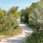 Kleine Rotbuche Semesterbostad Ahrenshoop