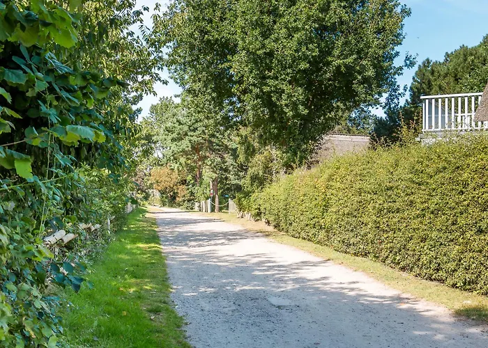 Kleine Rotbuche ارنشوب